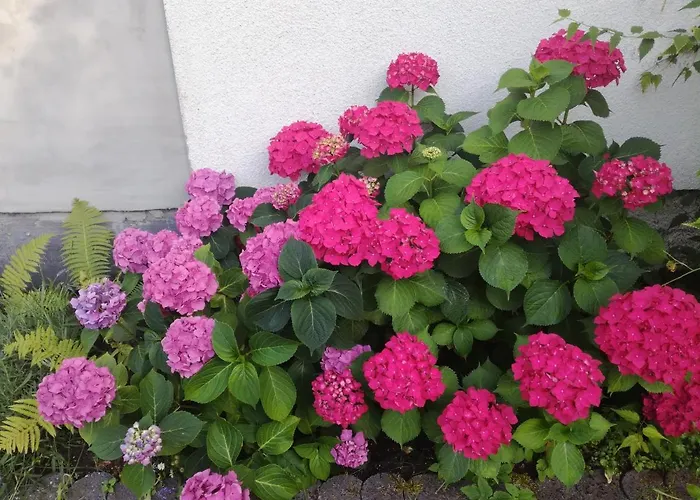 Pokoje U Marysi